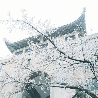 天津外国语大学成立“全球气候治理研究院”