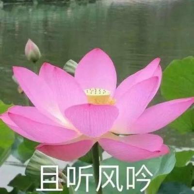 重庆忠县中考成绩查询时间+方式